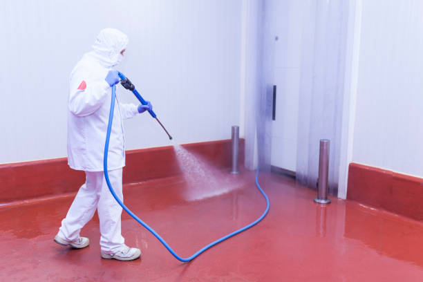 Spring Cleaning in Linden, AL