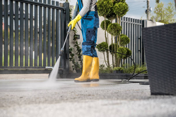 Best Roof Washing  in Linden, AL